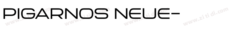 PIGARNOS NEUE字体转换